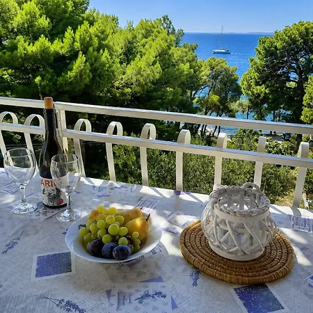 Apartment Miljenko Terasea *